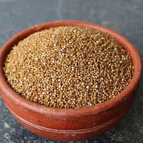 Kodo millet